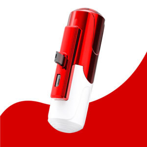 Banque d'alimentation portable à mini capsule