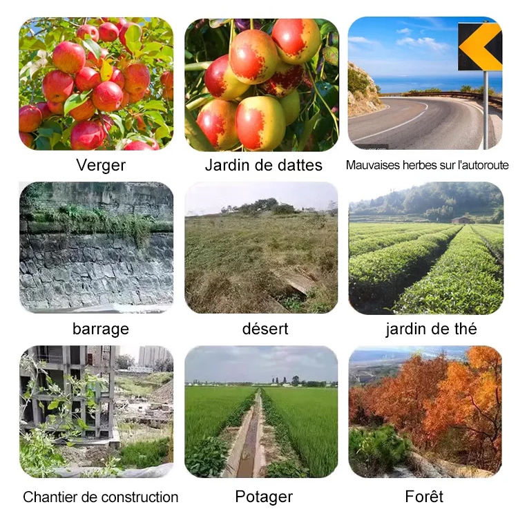 【Spécialiste des mauvaises herbes】Glufosinate-P-ammonium à haute concentration. N'endommage pas le sol, n'affecte pas les cultures 