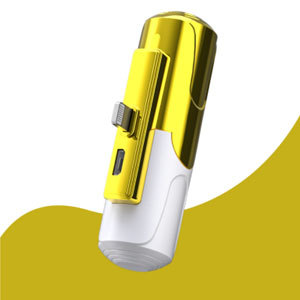 Banque d'alimentation portable à mini capsule