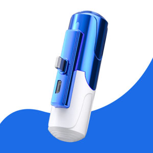 Banque d'alimentation portable à mini capsule