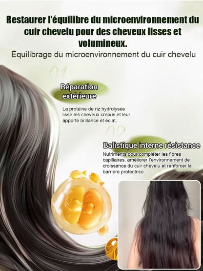  Arrêtez la chute des cheveux à la source ! 🌿 Notre shampooing à succès au romarin et au gingembre utilise les puissants bloqueurs de DHT naturels pour réactiver les follicules pileux endormis. Obtenez des cheveux visiblement plus épais et plus forts en 