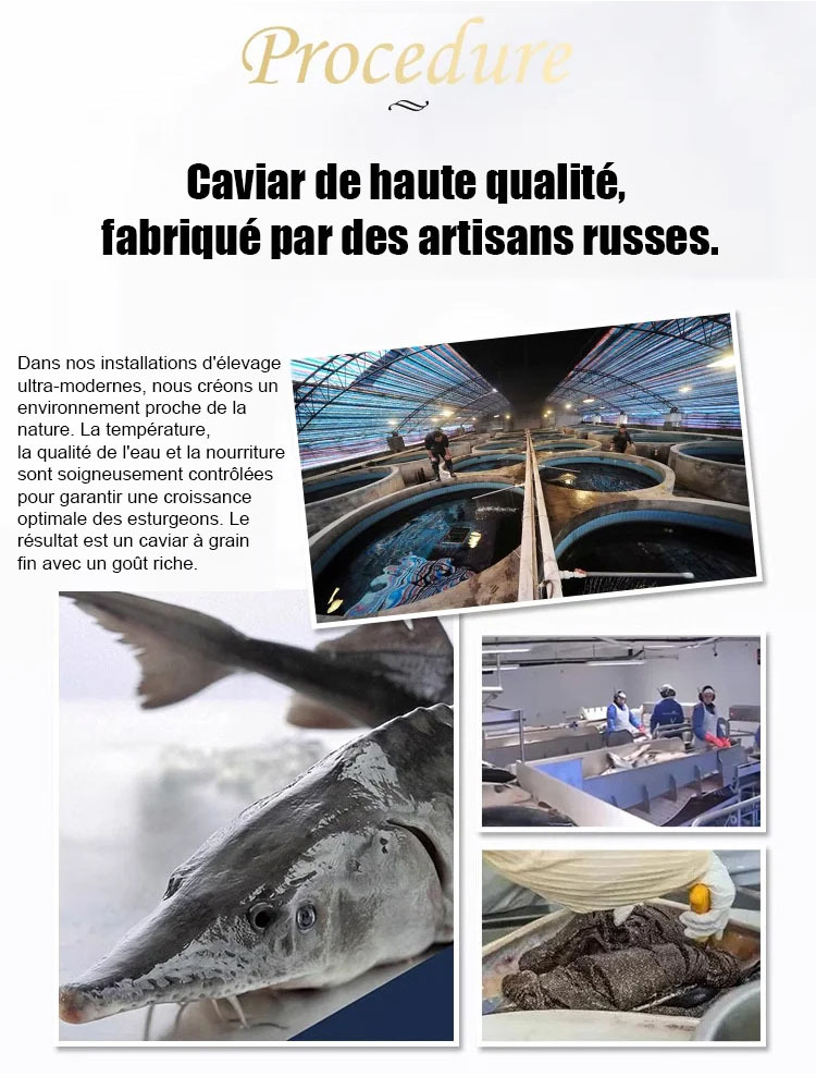 Caviar d'esturgeon noir de la mer Caspienne importé:  frais et savoureux🌊🐟