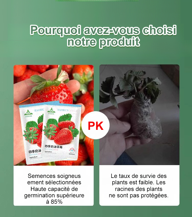 翻译件-SL-四季结果奶油草莓种子-1174930-系统-拷贝_06.png
