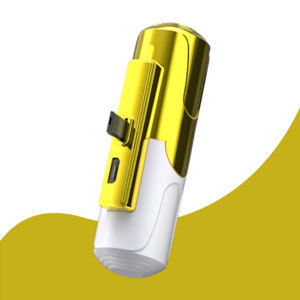 Banque d'alimentation portable à mini capsule