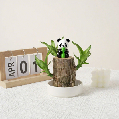 Plante porte-bonheur brésilienne cultivée dans l'eau, fleurit toute l'année 🌿Nul besoin d'avoir la main verte ! Pousse uniquement dans l'eau, sans terre ni lumière directe du soleil.