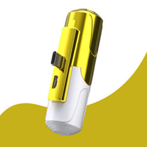 Banque d'alimentation portable à mini capsule