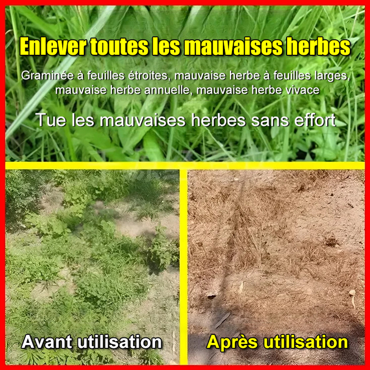 【Spécialiste des mauvaises herbes】Glufosinate-P-ammonium à haute concentration. N'endommage pas le sol, n'affecte pas les cultures 