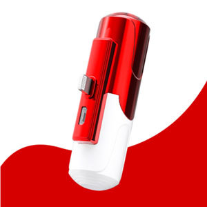 Banque d'alimentation portable à mini capsule