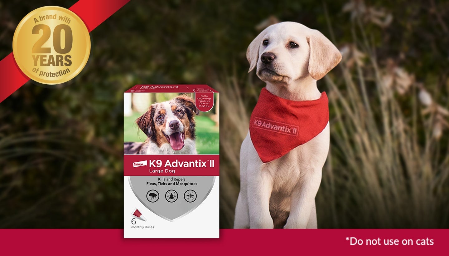 A lab puppy standing up with K9 Advantix&reg; II for dogs package overlay