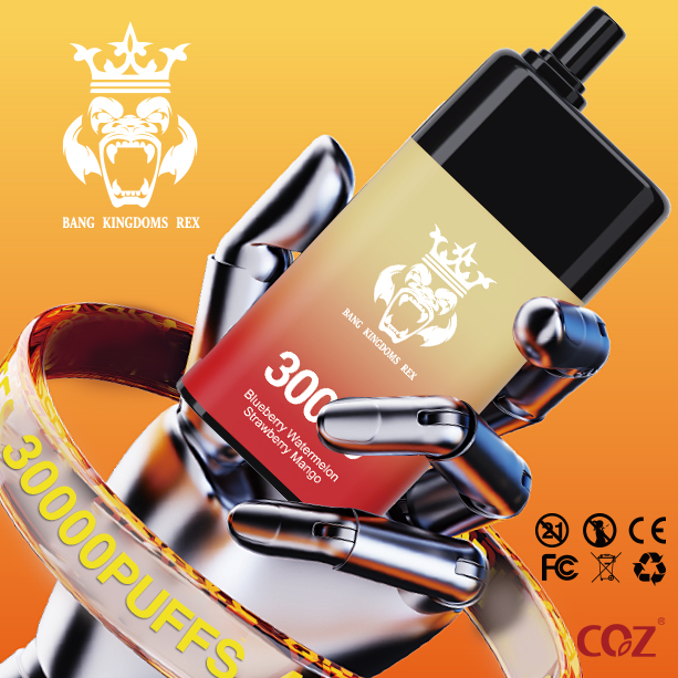 Bang Kingdom Vape  30000 Puffs Dual Pods Dual Mesh Double Flavors Electronic Cigarette