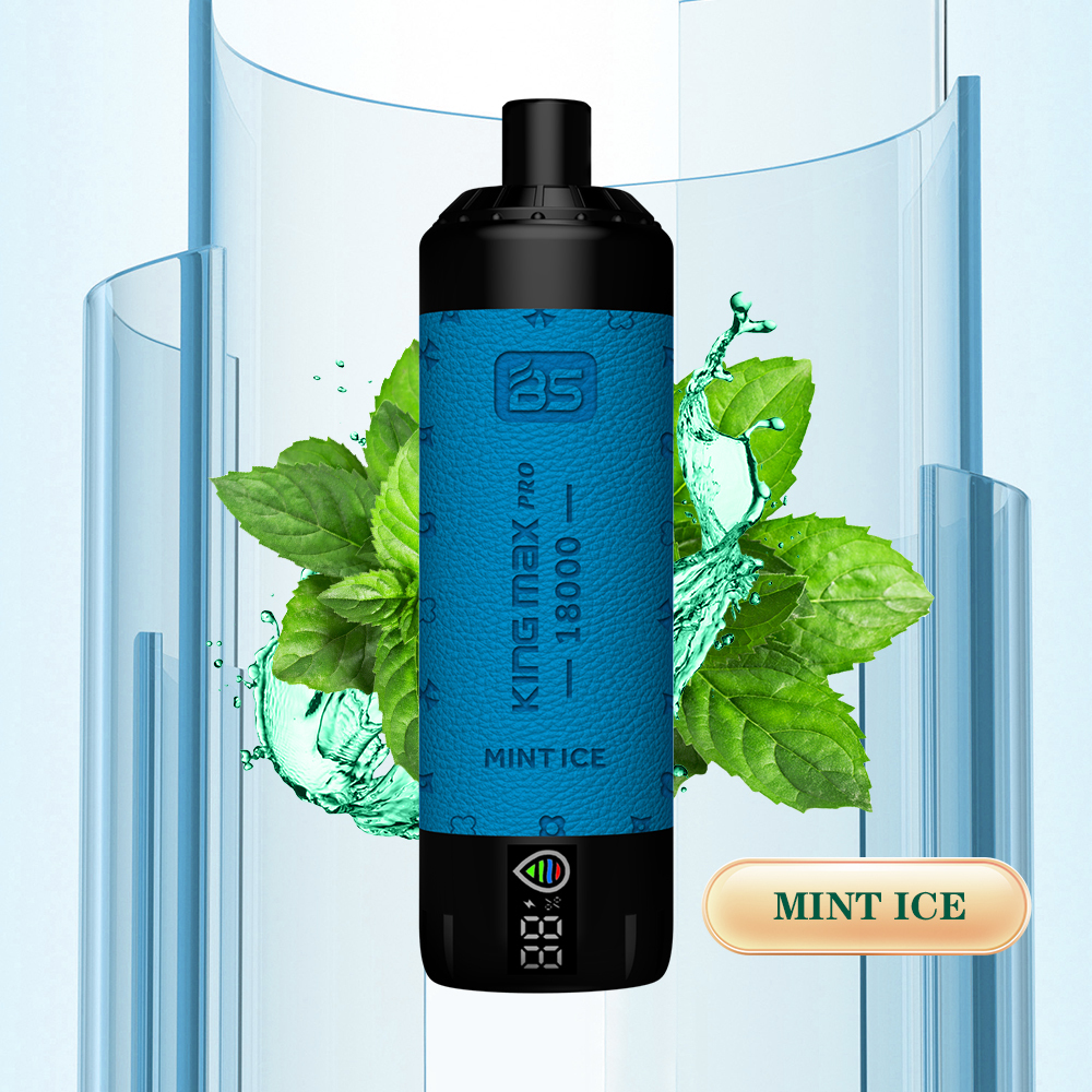 100% Original Breze Stiik King max Pro 18000 Puffs 1OK Pods 20ml Pods With Rechargeable 600mah Rechargable Battery18k Disposable Vape Pen Pod Ecigs-Ecloudvaping