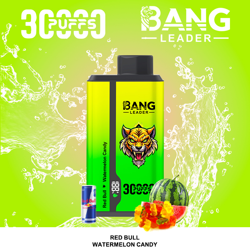 Bang leader 30000 30k 36ml Preloaded 650mAh Rechargeable Pen 0%2%3%5% disposable Intelligent display 