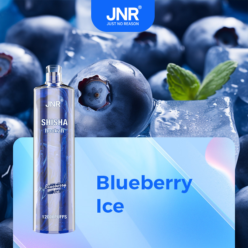  OriginalJNR Shisha 15000 Vs Jnr Shisha Hookah 12000 Puffs Elf Disposable Dtl Direct to Lung