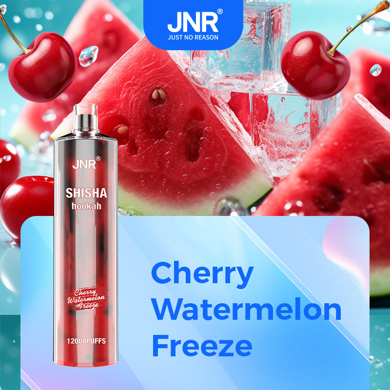  OriginalJNR Shisha 15000 Vs Jnr Shisha Hookah 12000 Puffs Elf Disposable Dtl Direct to Lung