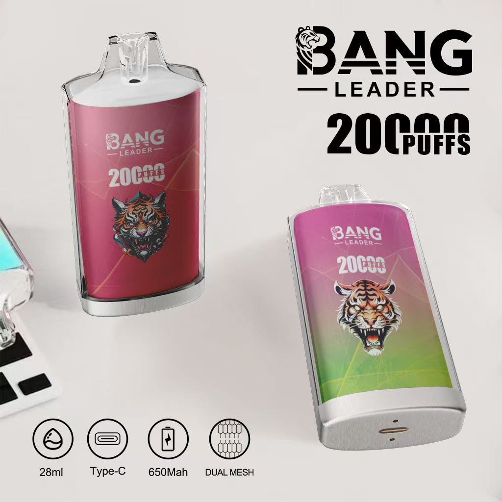  Bang Leader 20000 Disposable Rechargeable Electronic Cigarette Cheap Wholesale Price Hookah 20000 Puff Multiple Fruit Flavors