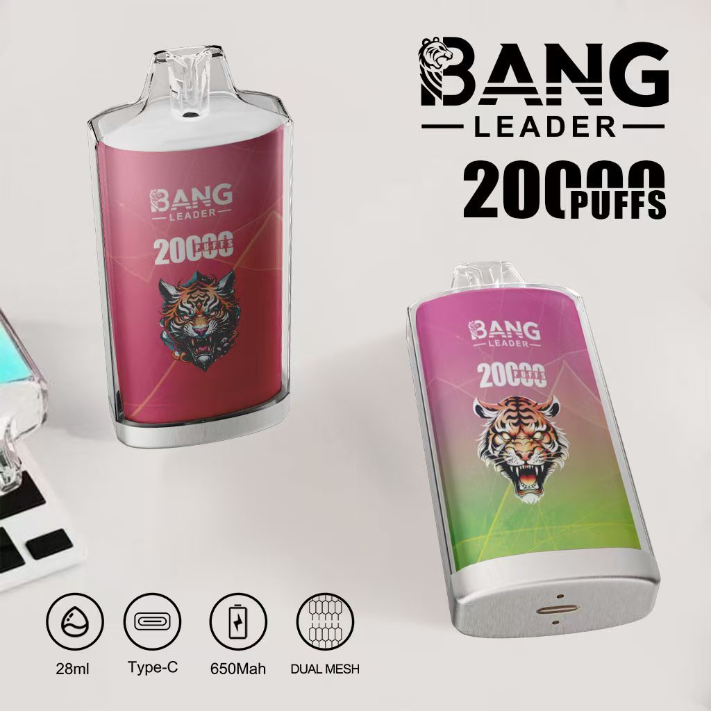  Bang Leader 20000 Disposable Rechargeable Electronic Cigarette Cheap Wholesale Price Hookah 20000 Puff Multiple Fruit Flavors