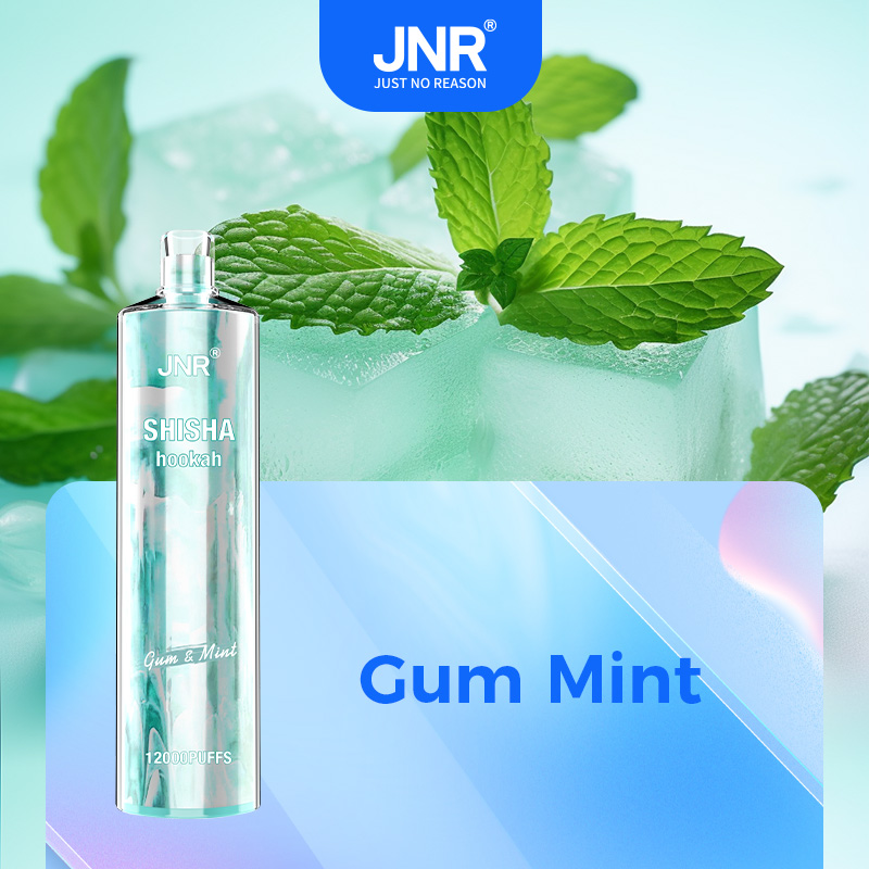  OriginalJNR Shisha 15000 Vs Jnr Shisha Hookah 12000 Puffs Elf Disposable Dtl Direct to Lung