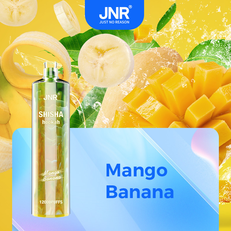  OriginalJNR Shisha 15000 Vs Jnr Shisha Hookah 12000 Puffs Elf Disposable Dtl Direct to Lung