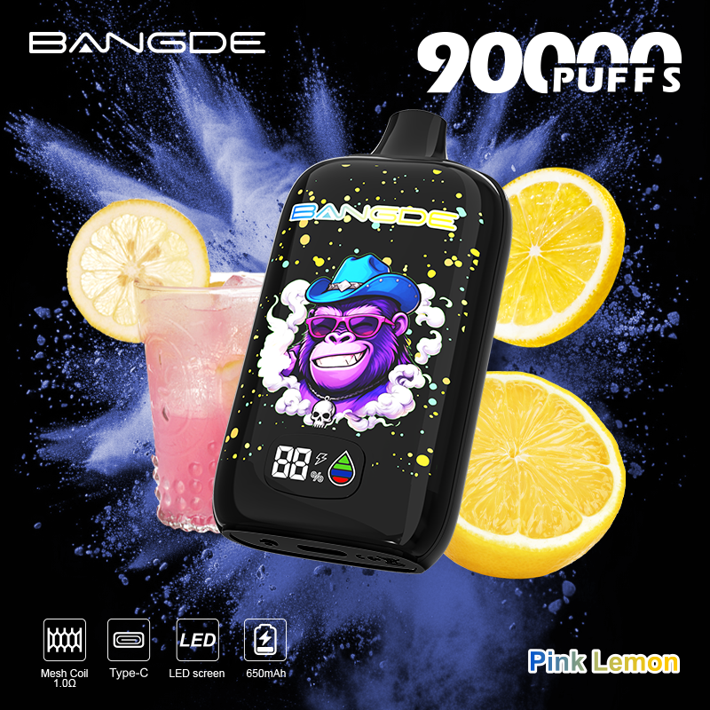 Bang De 90K Puffs EU Warehouse 90000 Puffs Type-C Rechargeable Multiple Flavors 100K/110K/120K Popular Wholesale Vape