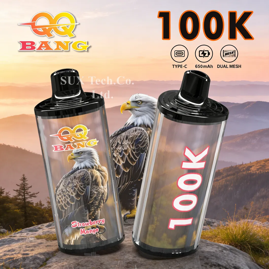 EU Hot Selling QQ Bang 100K Puffs Rechargeable Electronic Disposable Vape Smoking Cigarette Bang King Vaporizer Shisha 150K 200K 250K 300K
