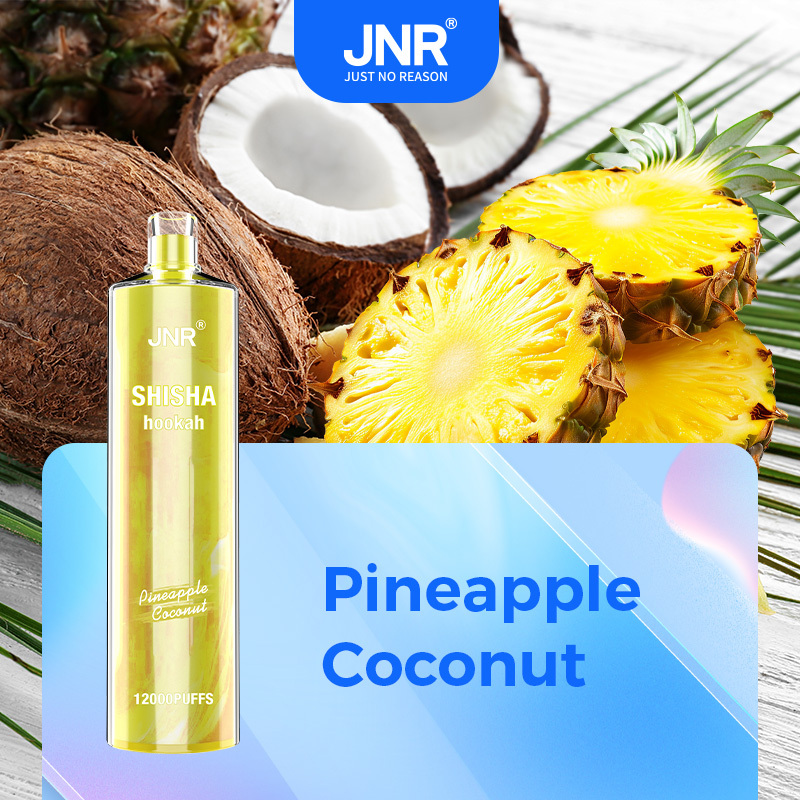  OriginalJNR Shisha 15000 Vs Jnr Shisha Hookah 12000 Puffs Elf Disposable Dtl Direct to Lung