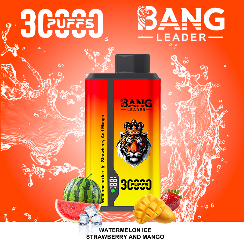 Bang leader 30000 30k 36ml Preloaded 650mAh Rechargeable Pen 0%2%3%5% disposable Intelligent display 