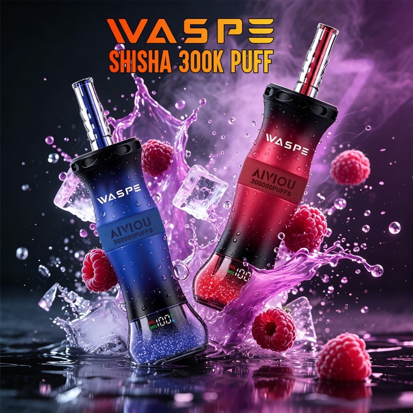 EU Germany Spain warehouse WASPE Shisha 300K Puff Disposable Vape pen Wholesale Electronic Cigarette Vaper