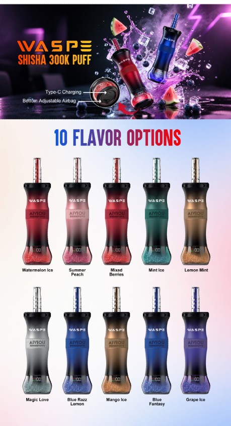 EU Germany Spain warehouse WASPE Shisha 300K Puff Disposable Vape pen Wholesale Electronic Cigarette Vaper