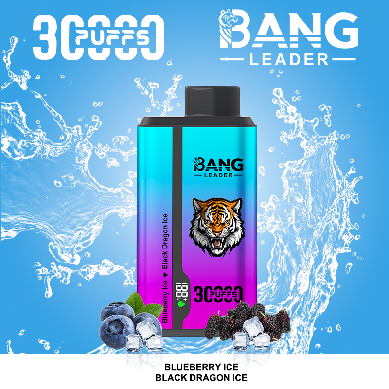 Bang leader 30000 30k 36ml Preloaded 650mAh Rechargeable Pen 0%2%3%5% disposable Intelligent display 
