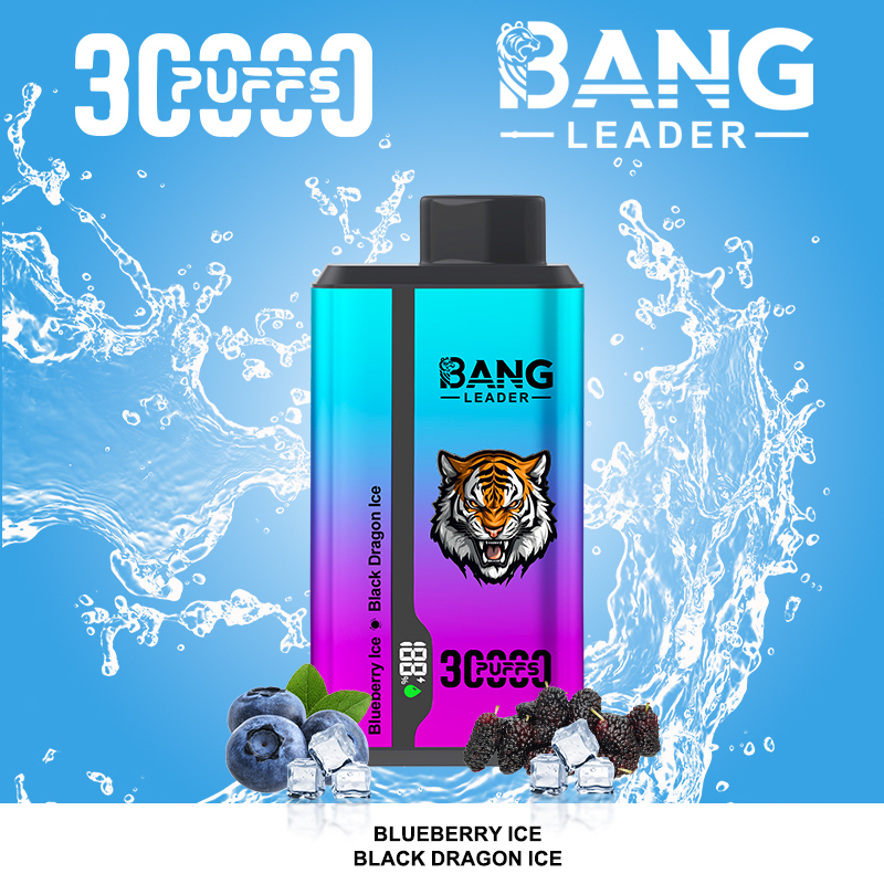 Bang leader 30000 30k 36ml Preloaded 650mAh Rechargeable Pen 0%2%3%5% disposable Intelligent display 