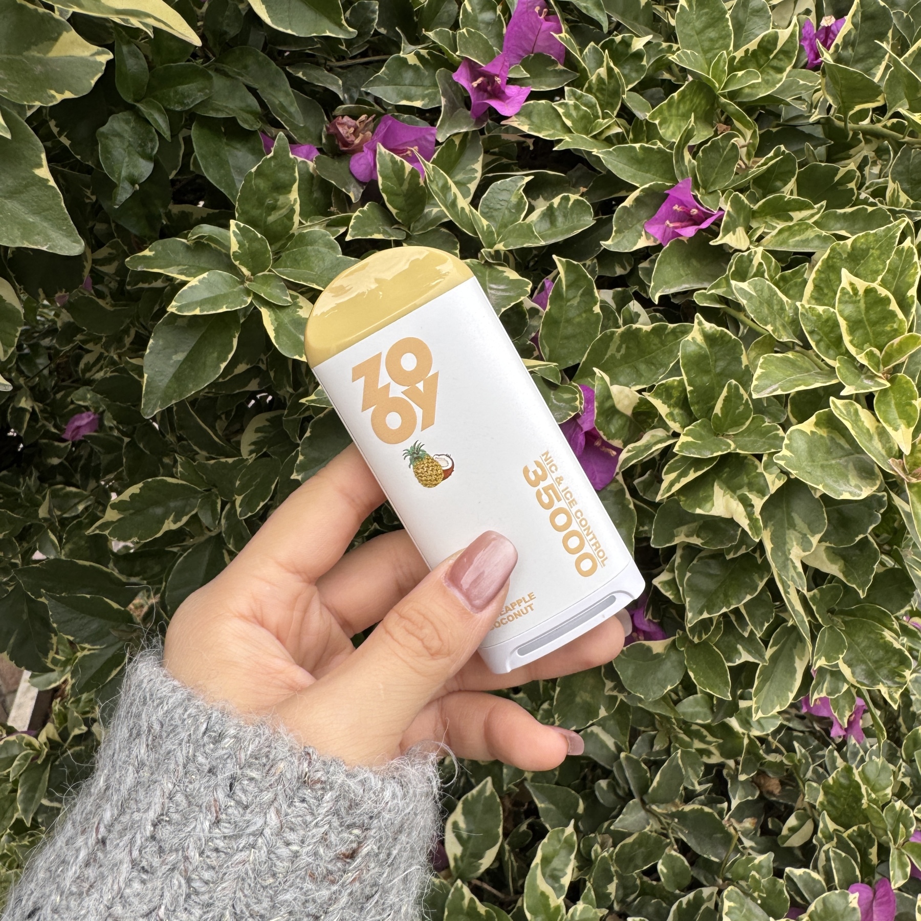 EU Warehouse Zooy Firzen 35000 Puff Ice+Nicotine Adjustable Disposable E-Cigarette Zooy 35K 40K Vape Wholesale I Vape