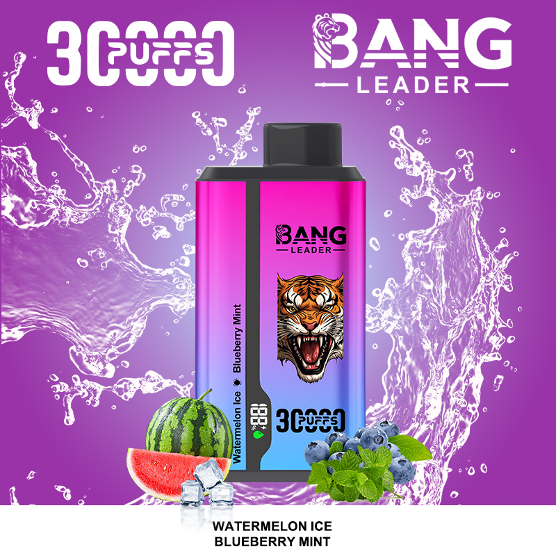 Bang leader 30000 30k 36ml Preloaded 650mAh Rechargeable Pen 0%2%3%5% disposable Intelligent display 