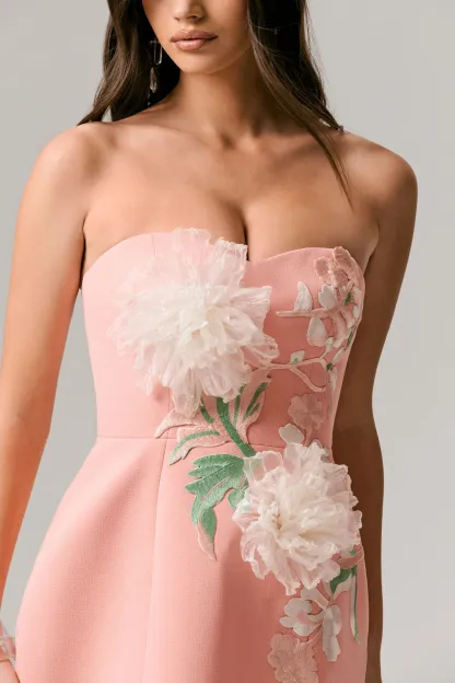 Coral Sweetheart Embroidered Mini Dress