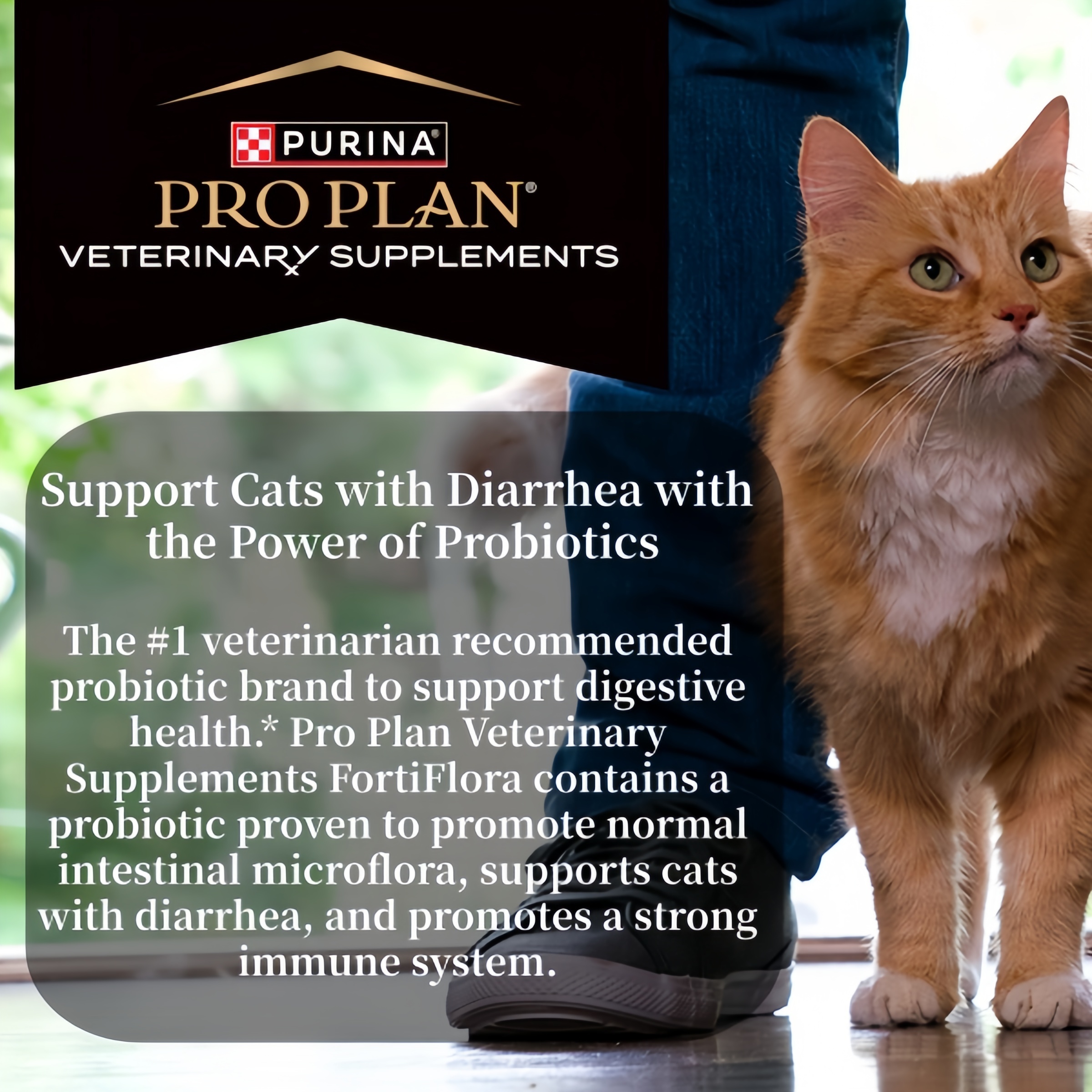 Purina Pro Plan Veterinary Supplements FortiFlora Cat Probiotic Supplement for Cats with Diarrhea - 30 ct. Box