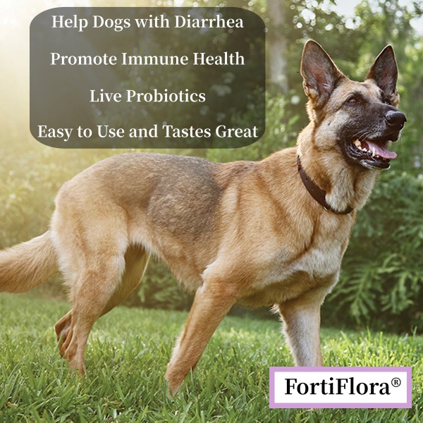 Purina Pro Plan Veterinary Supplements FortiFlora Dog Probiotic Supplement, Canine Nutritional Supplement - 30 Ct. Box