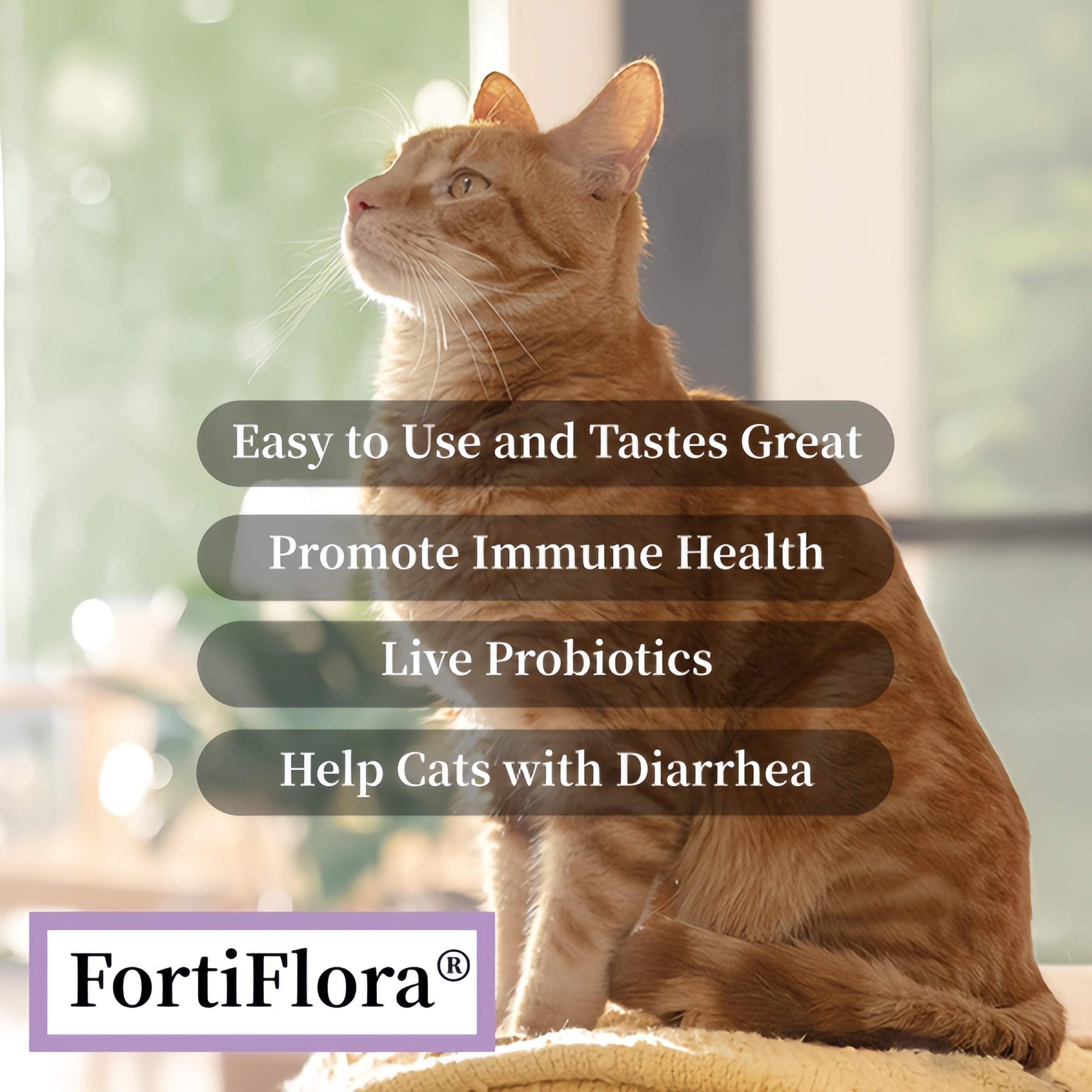 Purina Pro Plan Veterinary Supplements FortiFlora Cat Probiotic Supplement for Cats with Diarrhea - 30 ct. Box