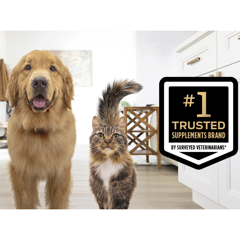 Purina Pro Plan Veterinary Supplements FortiFlora Dog Probiotic Supplement, Canine Nutritional Supplement - 30 Ct. Box