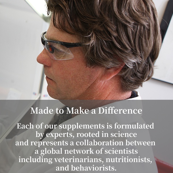 Purina Pro Plan Veterinary Supplements FortiFlora Dog Probiotic Supplement, Canine Nutritional Supplement - 30 Ct. Box