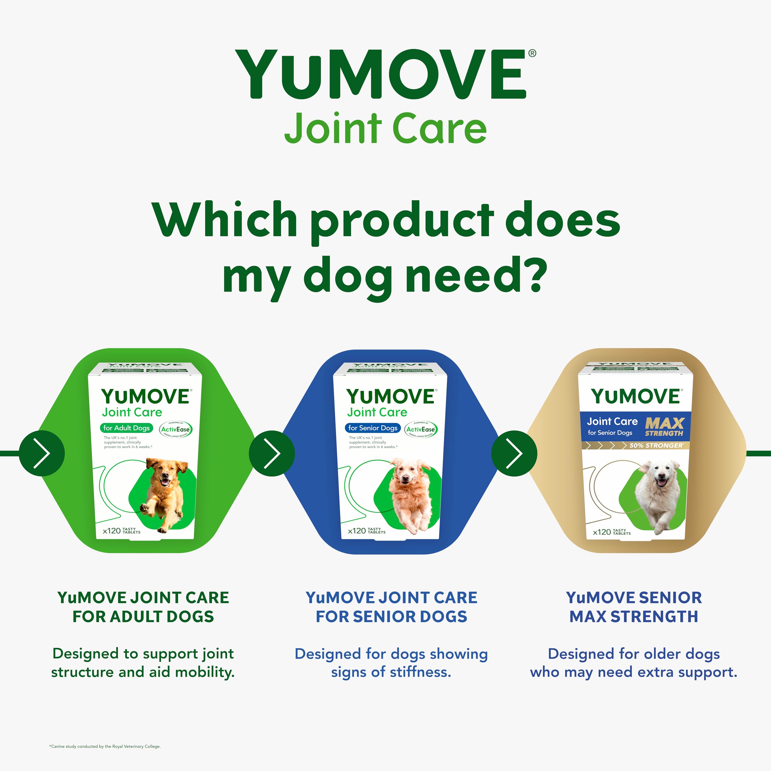 YuMOVE Senior Dog | High Strength Joint Supplement for Older, Stiff Dogs with Glucosamine, Chondroitin, Green Lipped Mussel | Aged 9+ | 120 Tablets,Package may vary