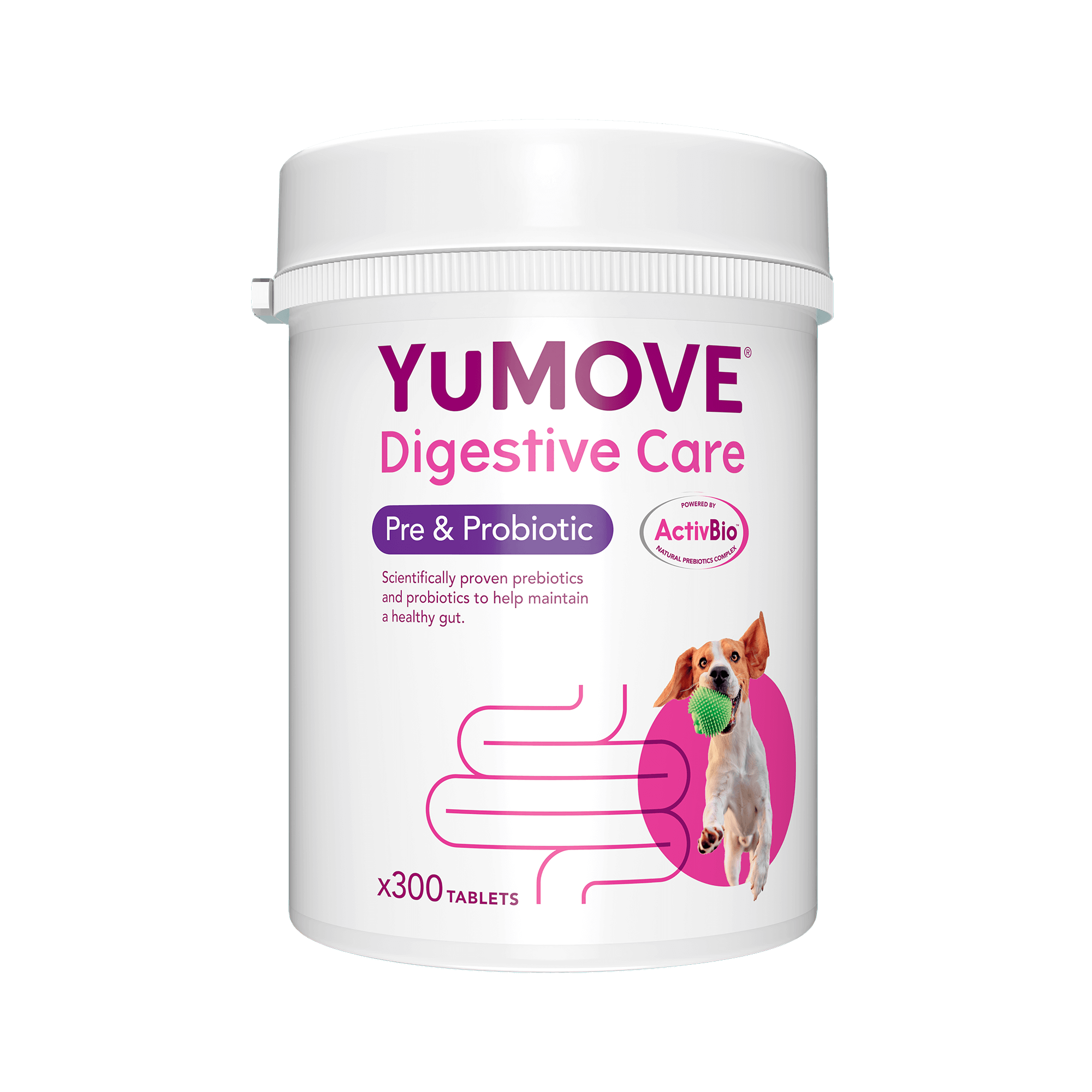 Digestive Care Pre & Probiotic Digestive Health 300 Tablets5