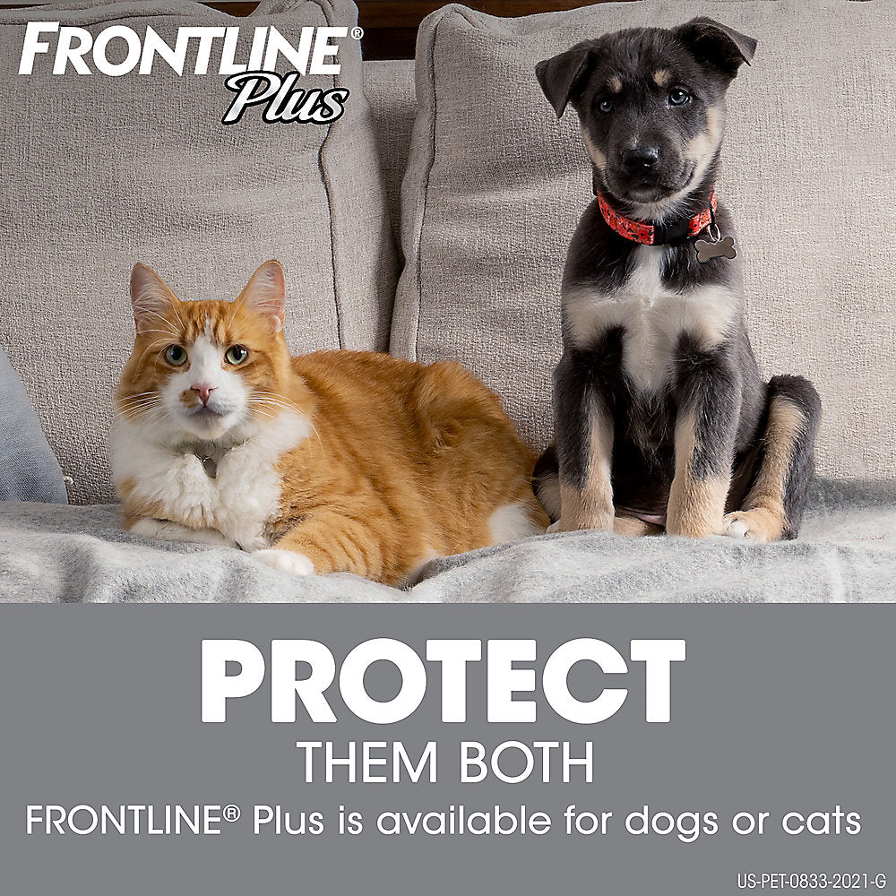 Frontline Plus Flea and Tick Treatment for Cats and Kittens