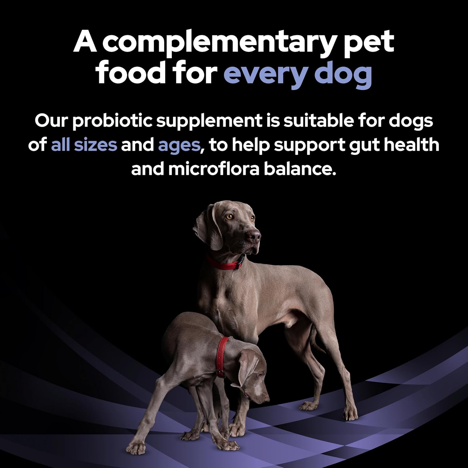 PurinaPROPLAN FortiFlora Dog Probiotic Sachet 30x1g