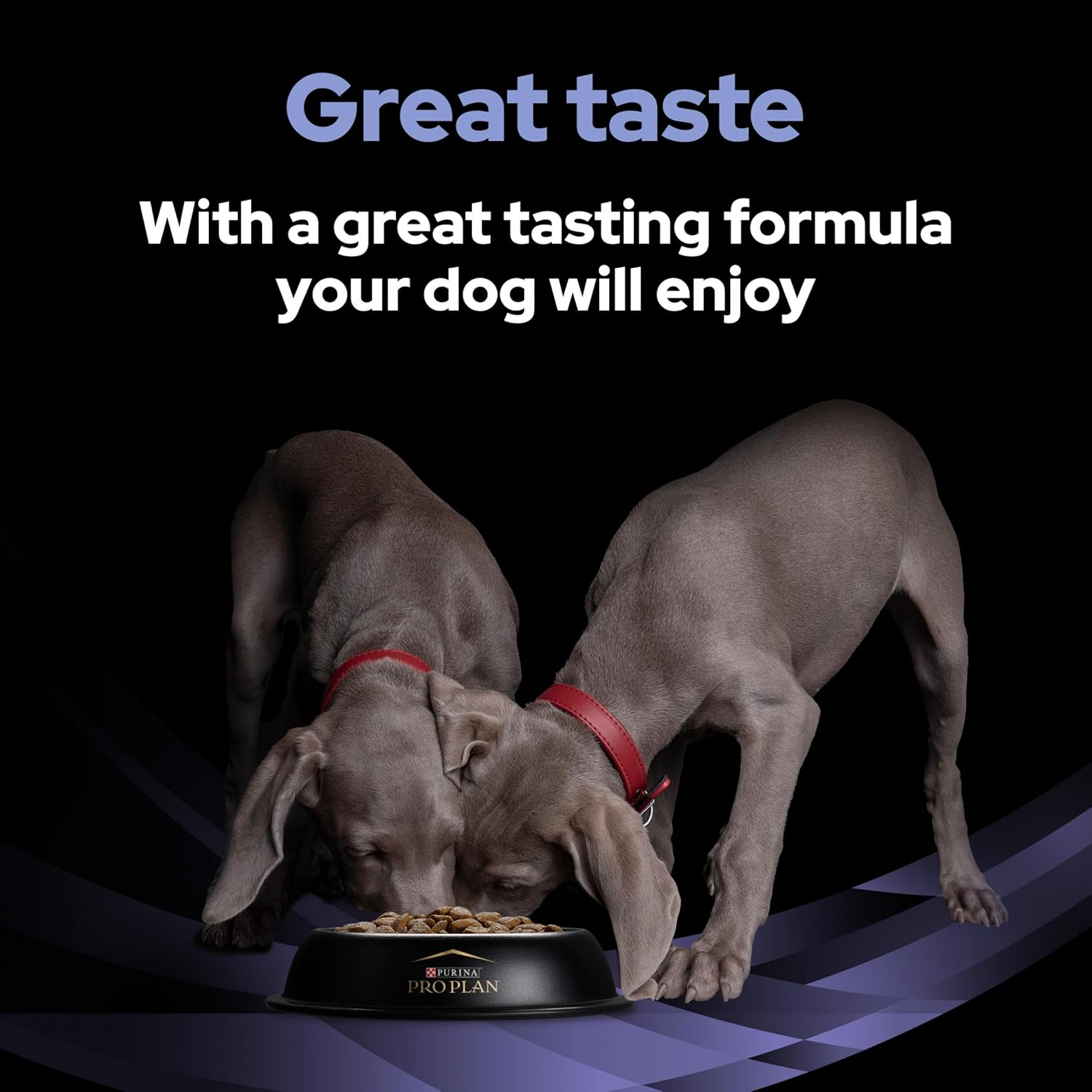 PurinaPROPLAN FortiFlora Dog Probiotic Sachet 30x1g