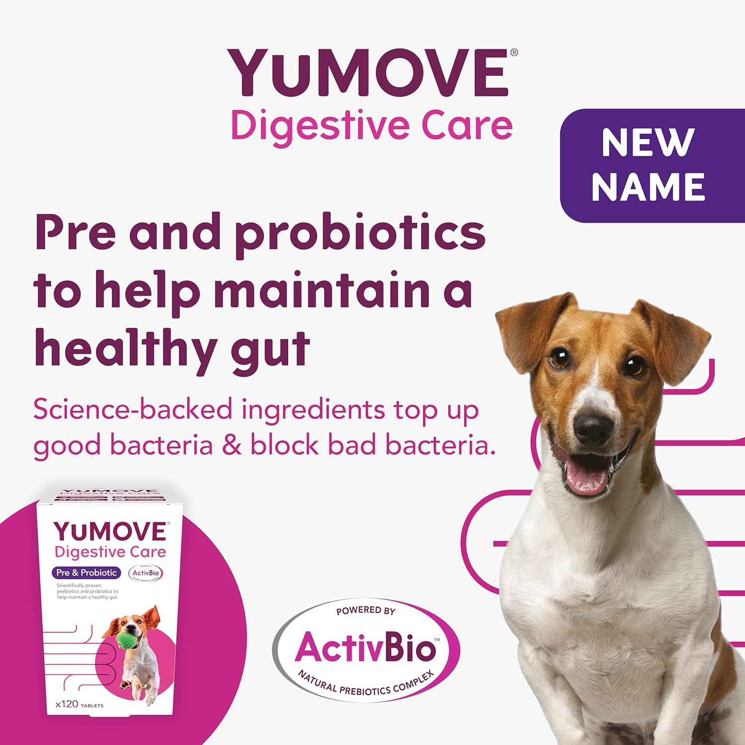 YuMOVE Digestive Care | Dog Pre+Probiotic for Gut Health | 120 Tablets | Eco-Friendly Packaging