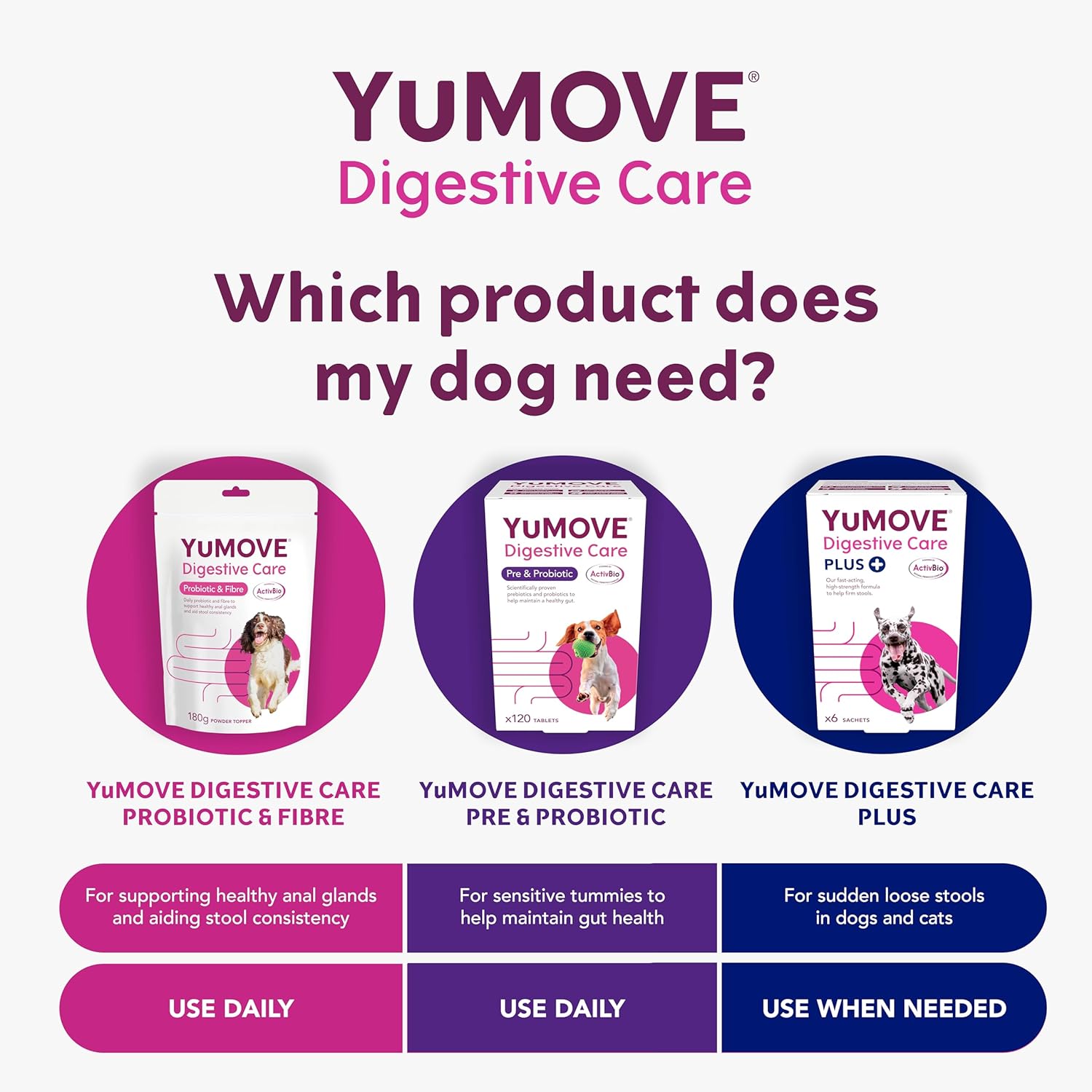 YuMOVE Digestive Care | Dog Pre+Probiotic for Gut Health | 120 Tablets | Eco-Friendly Packaging