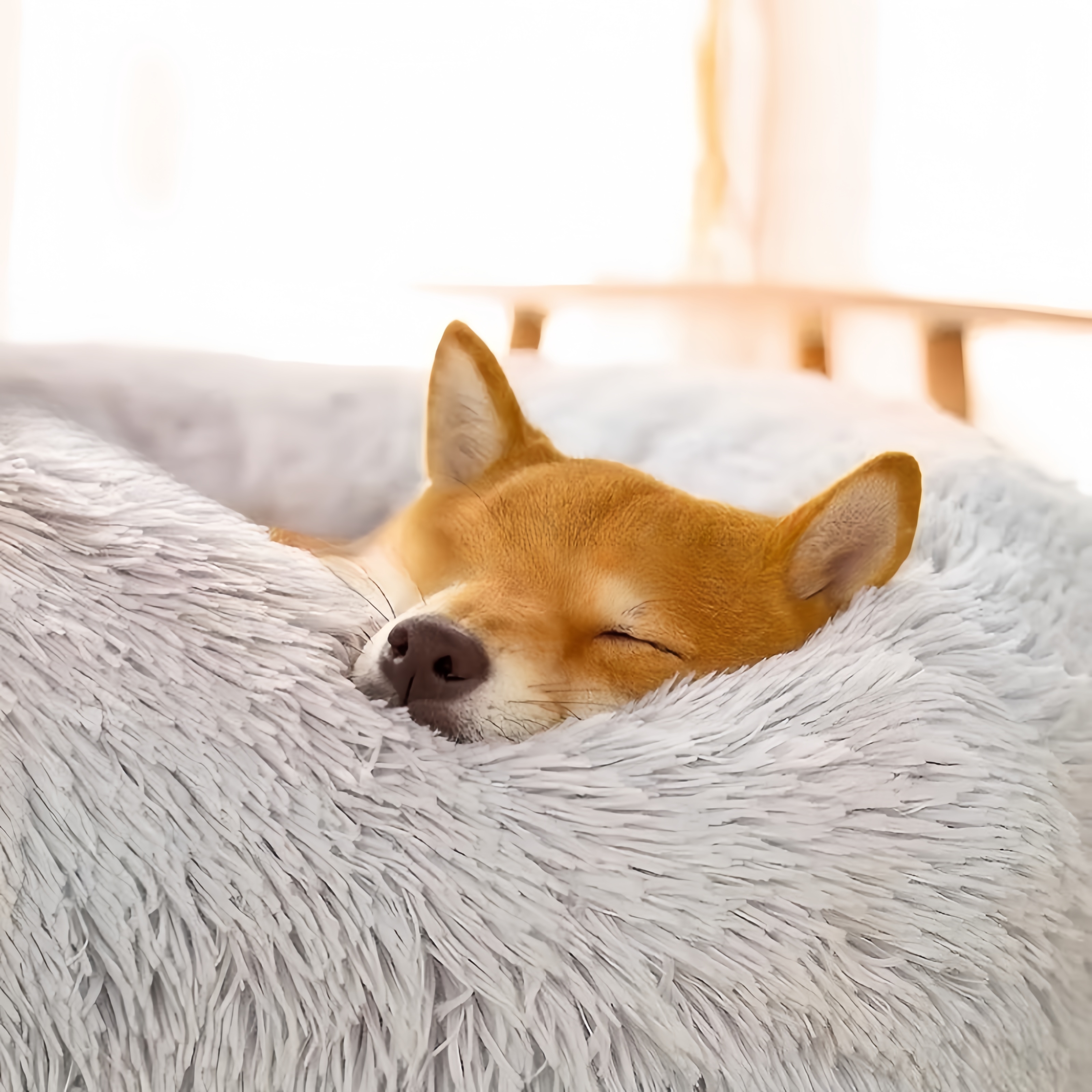 Vet-Recommended Dog Bed | Calming Donut Cuddler for Stressed Dogs