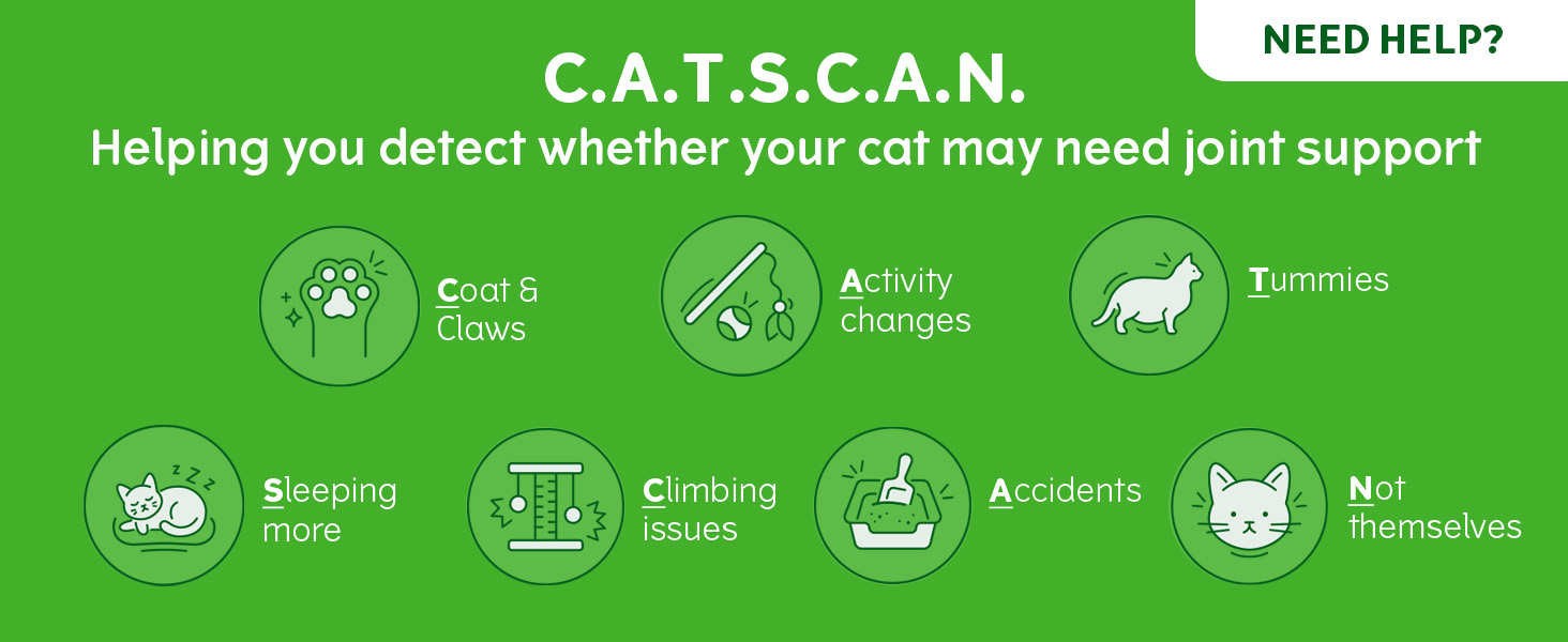 CATSCAN