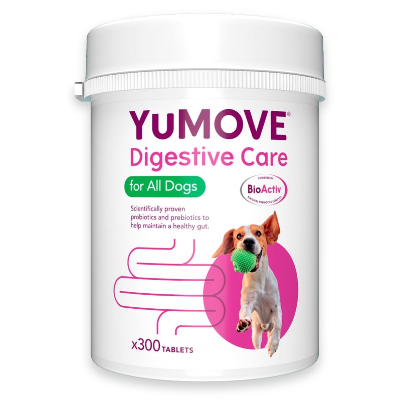 YuMOVE Digestive Care | Dog Pre+Probiotic for Gut Health | 120 Tablets | Eco-Friendly Packaging
