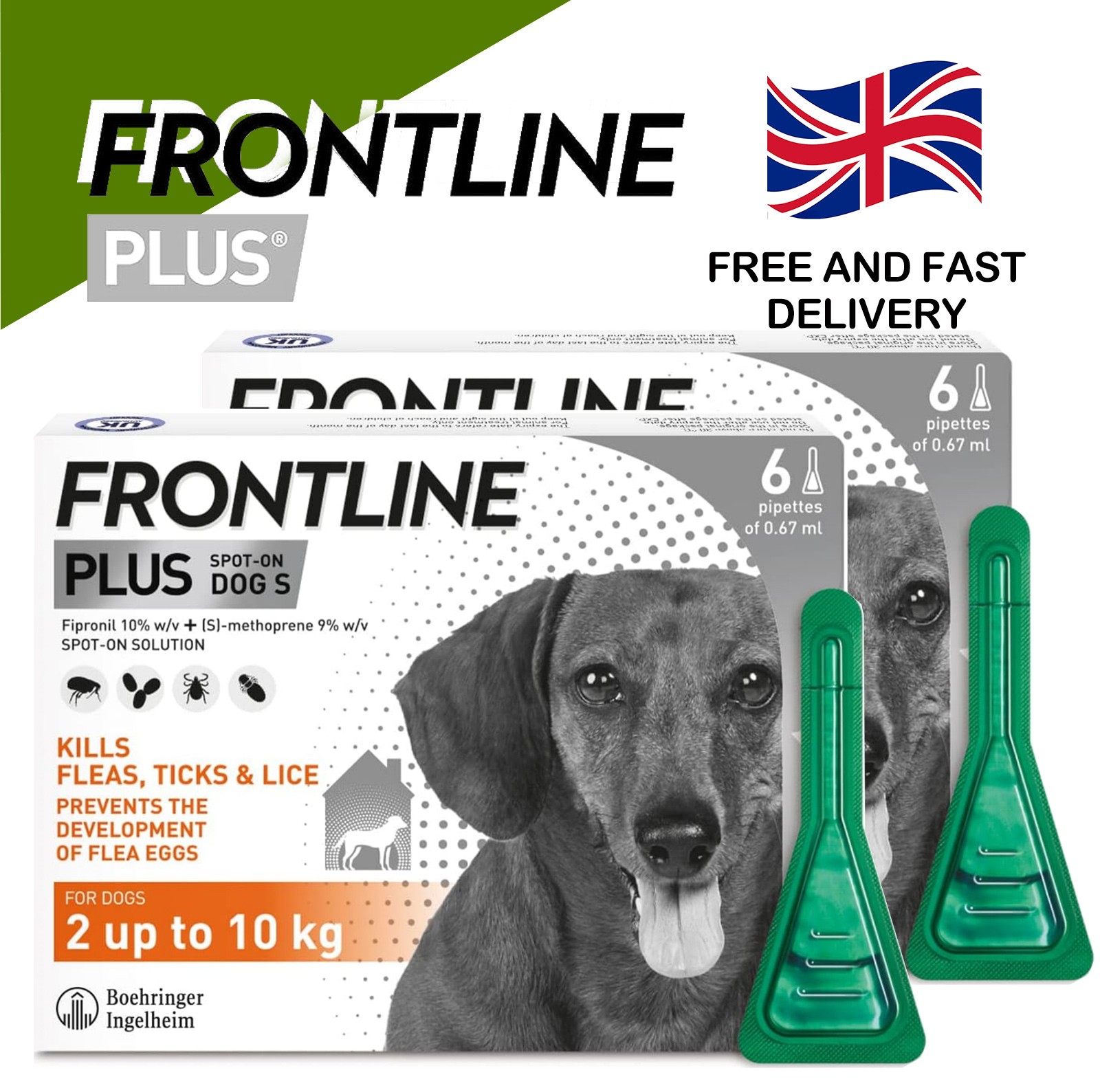 FRONTLINE® Plus Flea Tick Treatment for Dogs 