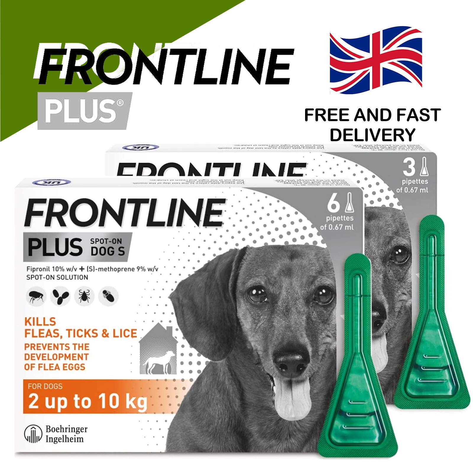 FRONTLINE® Plus Flea Tick Treatment for Dogs 